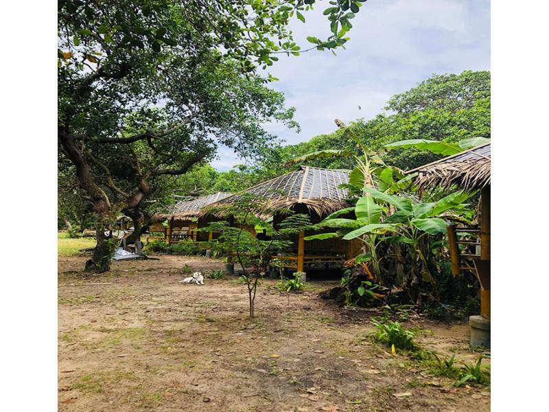 Chalee Tropicana Bungalow Koh Phayam Exterior foto